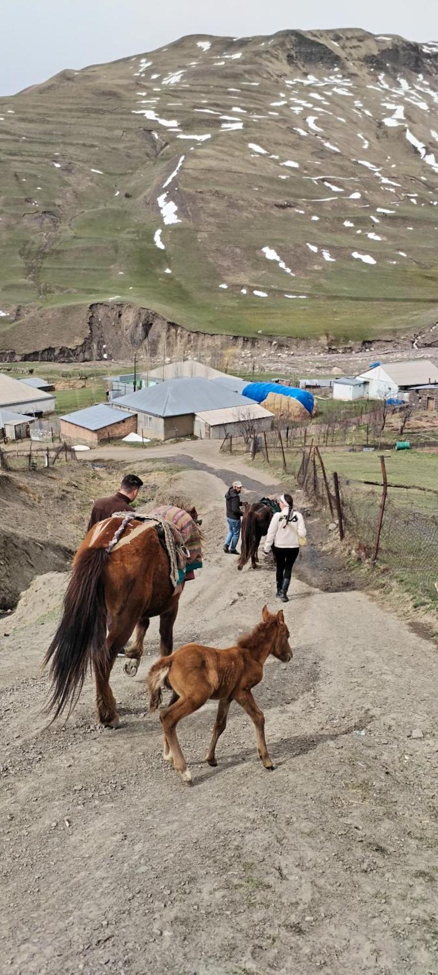 Xinaliq Elnur Guest House, New Hotel Exterior foto